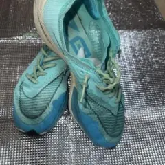 nike ランニングシューズ 27.5
