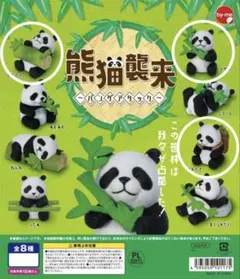 熊猫襲来〜パンダアタック〜4点セット
