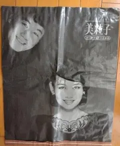 羽田美智子 資生堂 プルミエ 当時物 激レア 非売品 横断幕 店頭用