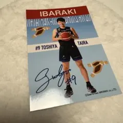 シーホース三河　タツヲチップス生写真(茨城限定)　#9平選手