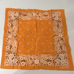 Item thumbnail for item e10823bd-c2c9-419b-a5d4-92a89bca79e4