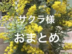 サクラ様 リクエスト 2点 まとめ商品