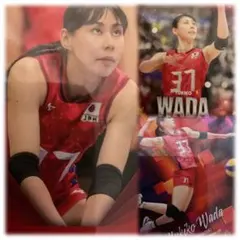 和田由紀子選手 公式トレーディングカード 15枚