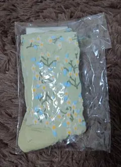 Item thumbnail for item 0b117130-b26b-4f2b-be25-1979b18b49de