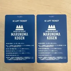2026年最新】丸沼高原スキー場1日リフト券の人気アイテム - メルカリ