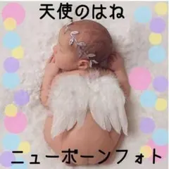 天使のはね 羽 ニューボーンフォト ハーフバースデー 記念写真 寝相アート