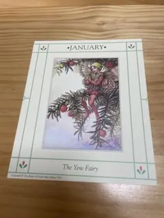 The Yew Fairy シャドー用プリント　5枚