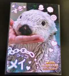 鳥羽水族館コレクションカード第2弾 メイ レア - メルカリ