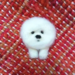 羊毛フェルトビションフリーゼマグネット 手のひらサイズ