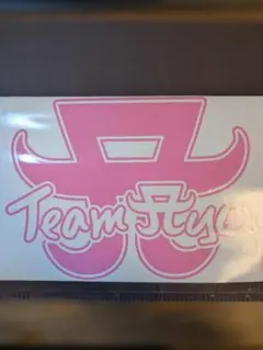 TeamAyu　カッティングステッカー　転写式ステッカー