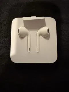 ホワイト 有線インイヤーイヤホン Apple純正