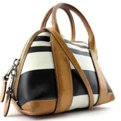 COACH　ハンドバッグ　ドーム型　2way　ストライプ　レザー　マルチカラー