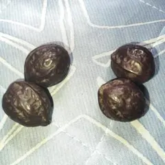 Item thumbnail for item 70e722cb-38c9-4a7b-8565-8061ac3a931d