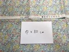 ✿アストランティア︎‪✿‬様 リクエスト 4点 まとめ商品