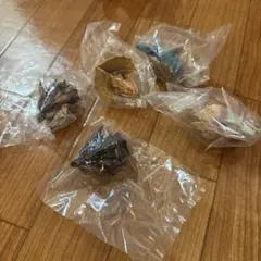 ５種コンプリートセット モンハン 一番くじ C賞 モンスターヘッドマグネット