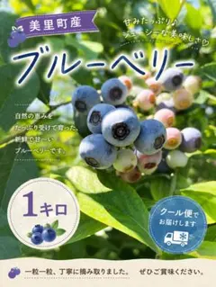 林恵子様専用 北信州の美味しいフルーツの詰め合わせセット - メルカリ