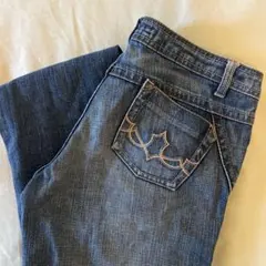 Crissa y2k low-rise flare jeans