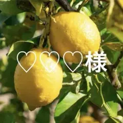 専用ページになります