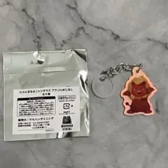 シークレットA にゃんまる&ニャンギラス アクリルめじるし マルハン