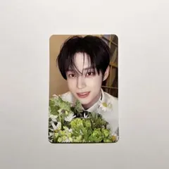 ZB1 ジウン Re-FLOW 封入 トレカ