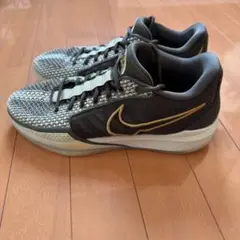 Nike Sabrina1 サブリナ1 (Dedication) / 28cm