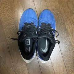 NIKE Air Zoom Pegasus 39 27.5cm
