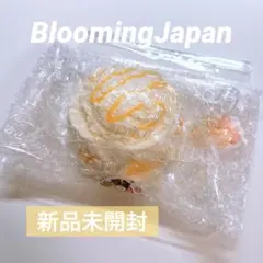 【新品未開封】BloomingJapan マンゴーアイスクリームボウル ⑦