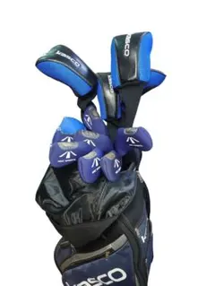 レディース　kasco DIMPALS フルセット　キャスコ DIMPALSフルセット キャスコ(Kasco) レディースアイアンセット