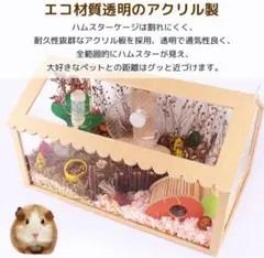 Item thumbnail for item 38d86eb5-7525-433e-9ddb-90b3c837afc8