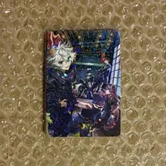 CR コレクションカード レア Ras Selly CPT Mondo