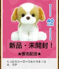 ☆8/15迄限定特価！新品☆くったりシーズウルトラBIGぬいぐるみ★ラテ★未開封のサムネイル