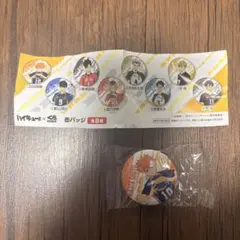 【匿名配送】ハイキュー 缶バッジ くら寿司 バッジ 日向翔陽 びっくらぽん