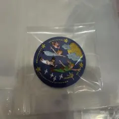 ディズニー 刺繍缶バッジ ピーターパン