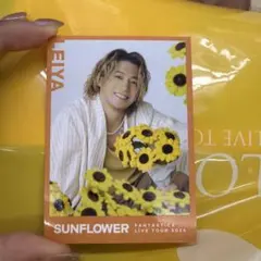 2026年最新】瀬口黎弥 シークレットの人気アイテム - メルカリ
