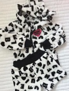 セットアップ110