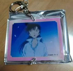 名探偵コナン コナンランド 連結アクリルキーホルダー 毛利蘭　②