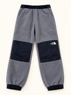 THE NORTH FACE デナリ スリップオンパンツ M NB81836のサムネイル
