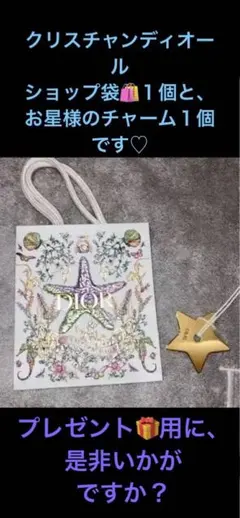 ディオール　ショッパー、ショップ袋 １個と、お星様のチャーム１個❣️新品❣️希少品