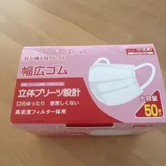 立体プリーツ型マスク 小さめ 50枚入り