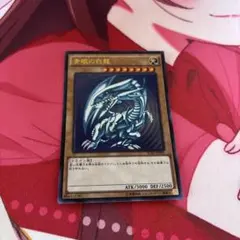 青眼の白龍 scb 1枚