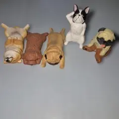 犬 フィギュア 5種セット カプセルトイ