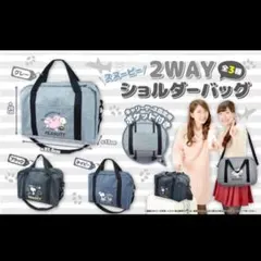スヌーピー PEANUTS 2Way ショルダーバッグ【新品】グレー
