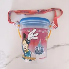 ディズニーランド 20周年 ポップコーンバケット　TDL 東京ディズニーリゾート