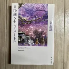 秒速5センチメートル