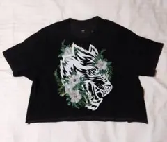 Item thumbnail for item 8d7c9e46-251b-40aa-a424-06dc4e830ec5