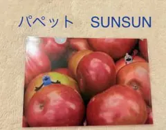 パペットスンスン　クリアファイル A5 ノベルティ　SUNSUN 東京一番街