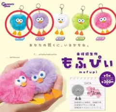 ASA∞プロフィール必読様 リクエスト 2点 まとめ商品