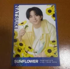 澤本夏輝 フォトカ シクレ