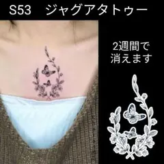 Item thumbnail for item 2c0c315a-2d91-4bbb-ab46-372aac6316cb