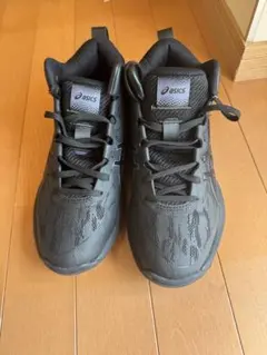 24.5cmアシックスバッシュ